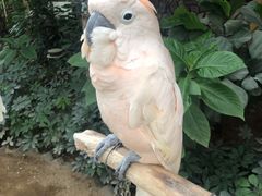 -南宫五洲植物乐园