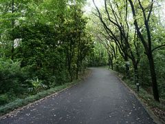 -春兰国宾馆(凤城河风景区老街店)