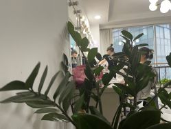 店内环境-爱的化妆工作室(雅地天际店)