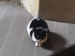 景点-1933老场坊