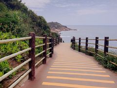 -广东惠东海龟国家级自然保护区
