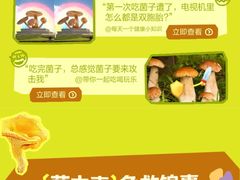 -芸山季·云南野生菌火锅(人民广场来福士店)