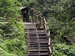 -峨眉山风景名胜区