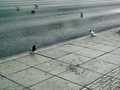 -大连人民广场