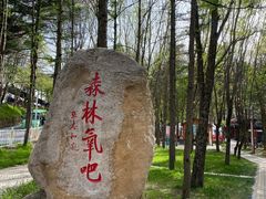 -洛阳白云山景区