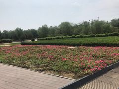 -门城湖公园