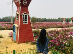 -日照世帆赛基地