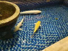 -沙河粉村·国家非遗传承(云台店)