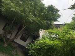 -荆川公园