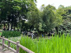 -成都市活水公园