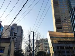 -上海市东方医院(总院)