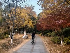 -南山风景名胜区
