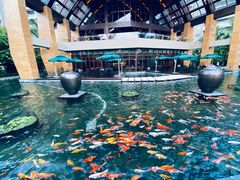 -三亚湾海居铂尔曼度假酒店