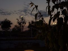 -爪吧宠物乐园 (温榆河示范区店)