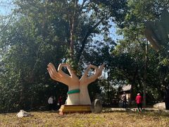 -瑞丽独树成林风景区