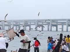 -金沙滩度假村