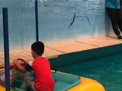 -蒙特利亲子乐园