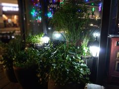 -新悦·霞浦海鲜生(上下杭店)