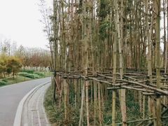-白鹭湾湿地公园