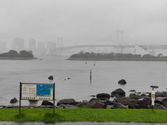 -台场海滨公园船码头