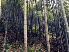 -黟县屏山村