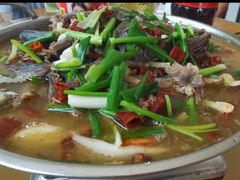 -古乐牛香·鲜牛肉牛杂火锅(千灯店)