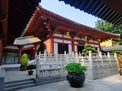 -灵谷景区