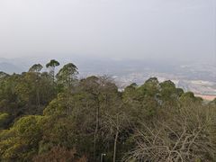 -水濂山森林公园