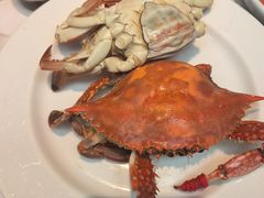 -半岛听涛蒸汽海鲜自助(K11店)