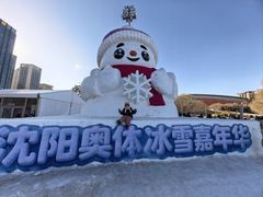 -沈阳奥体冰雪嘉年华
