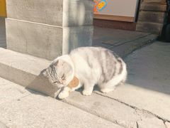 -小吴肠粉