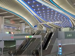 -大湾区中央湿地公园