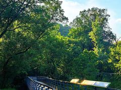 -西湖风景区-江洋畈生态公园