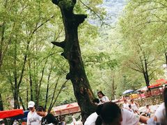 -养马峡