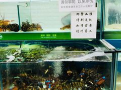 -永辉超市(鲁谷店)