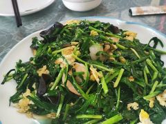 -龙香居海鲜家常菜饭店·特色驴肉·古城浑锅
