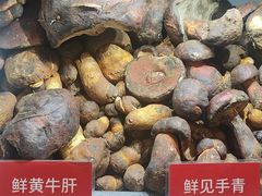 -太婆天府山珍酒楼(亚运村店)