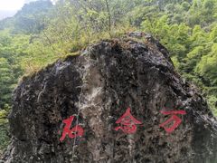 -华蓥山天意谷景区