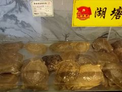 -鳖皇甲鱼餐厅(平阳路店)