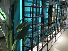 -Trend1881视光·蔡司视觉(领展广场店)