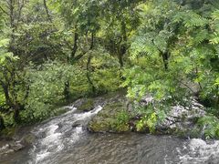 -石台牯牛降景区