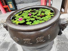 -慈恩寺