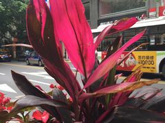 -宝大祥青少年儿童购物中心(南京东路店)