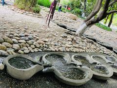 -成都市活水公园