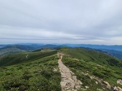 -灵山