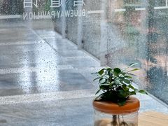 -木嘛working coffee&bar(碧道馆店)