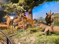 -国家自然博物馆