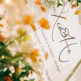 韩式黄绿色，温馨又甜蜜