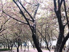 -苏州工学院(东湖校区)