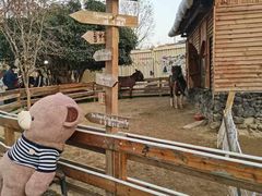 -HERRE·FARM 赫尔露营农场·团建聚会包场